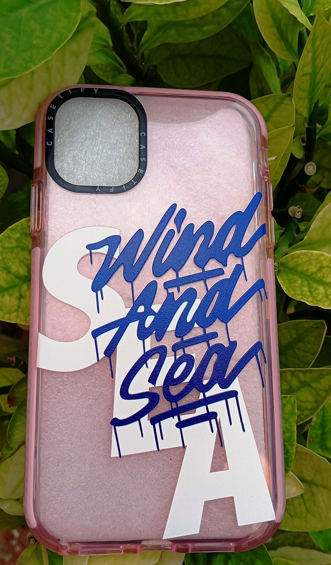 Pastel Baby Pink Wind and Sea Beach Water Lovers Translucent Bumper Case